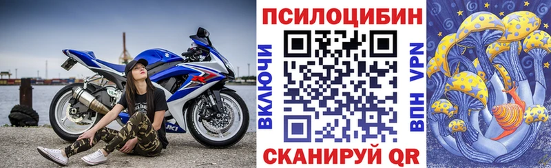 Псилоцибиновые грибы Psilocybe  Бавлы 